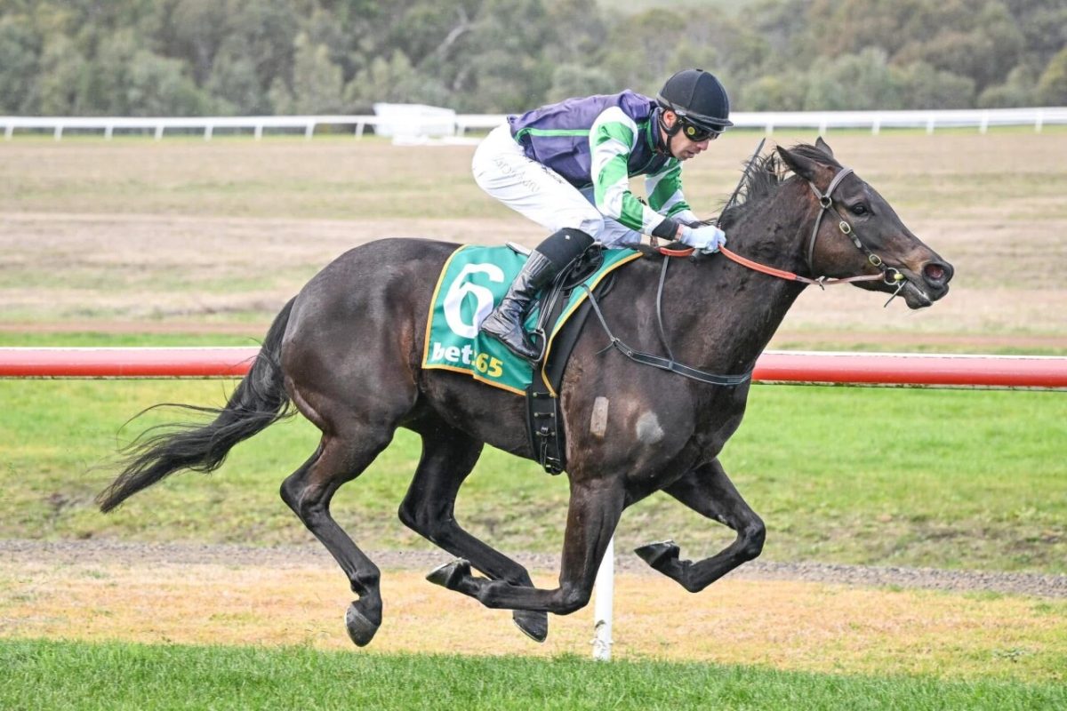 Grassmere Diamond
